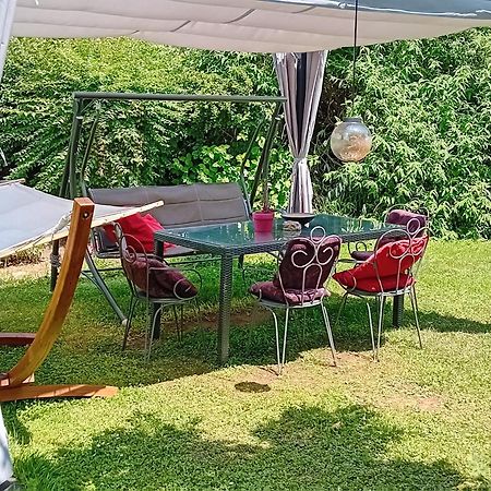 Camping Under The Walnut In Your Own Tent On A Shared Lot And Shared Bathroom ليوبليانا المظهر الخارجي الصورة