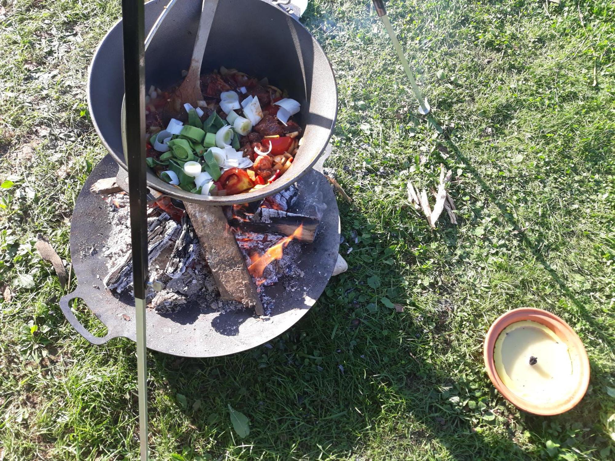 Camping Under The Walnut In Your Own Tent On A Shared Lot And Shared Bathroom ليوبليانا المظهر الخارجي الصورة