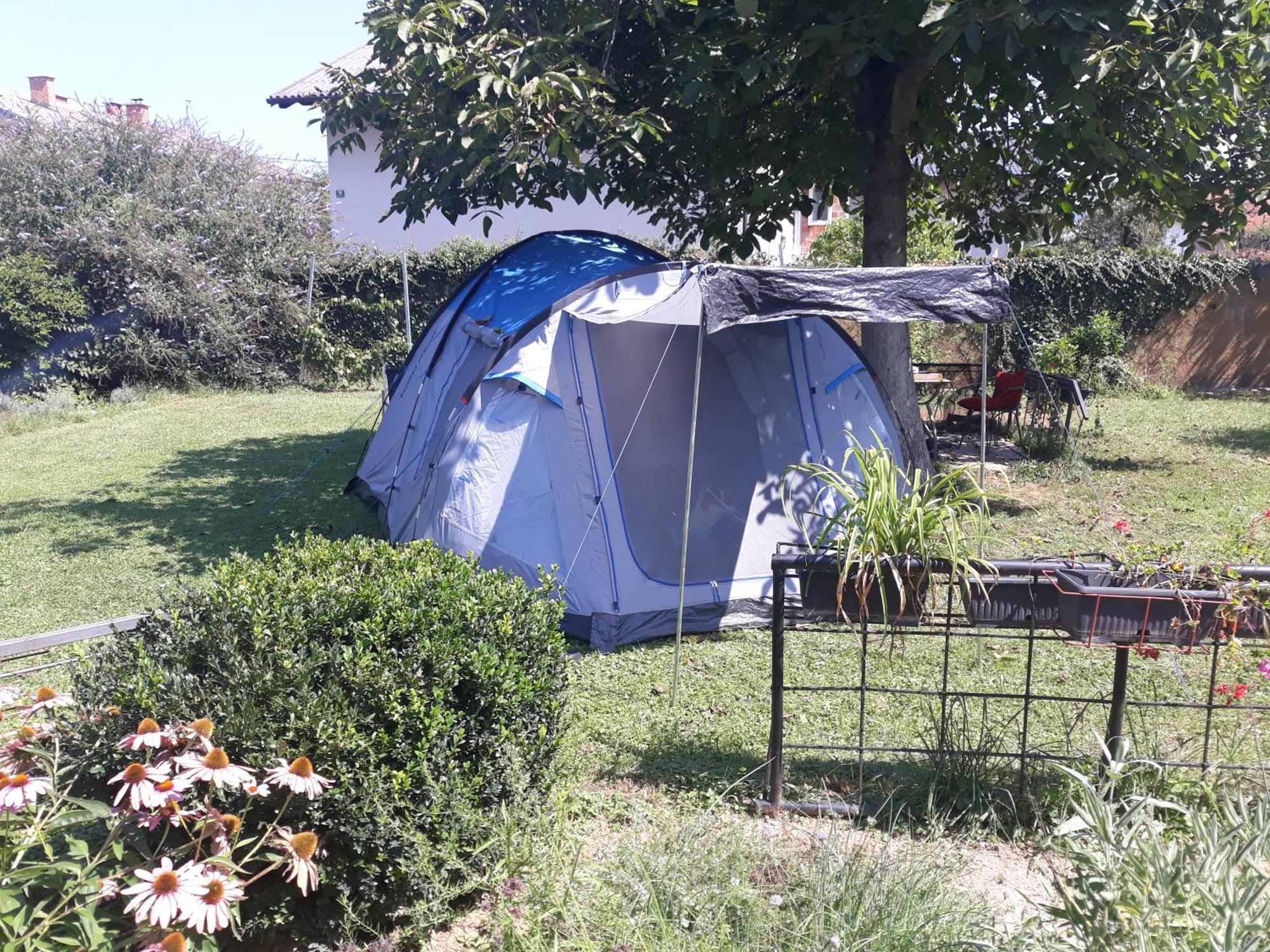 Camping Under The Walnut In Your Own Tent On A Shared Lot And Shared Bathroom ليوبليانا المظهر الخارجي الصورة